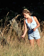 Your Message - Temperance